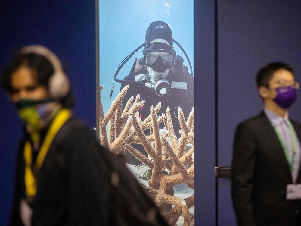 People walk past a poster with a scuba diver during the United Nations Conference of the Parties (COP15) on biodiversity in Montreal in December 2022. Photo: Lars Hagberg / AFP / Getty Images