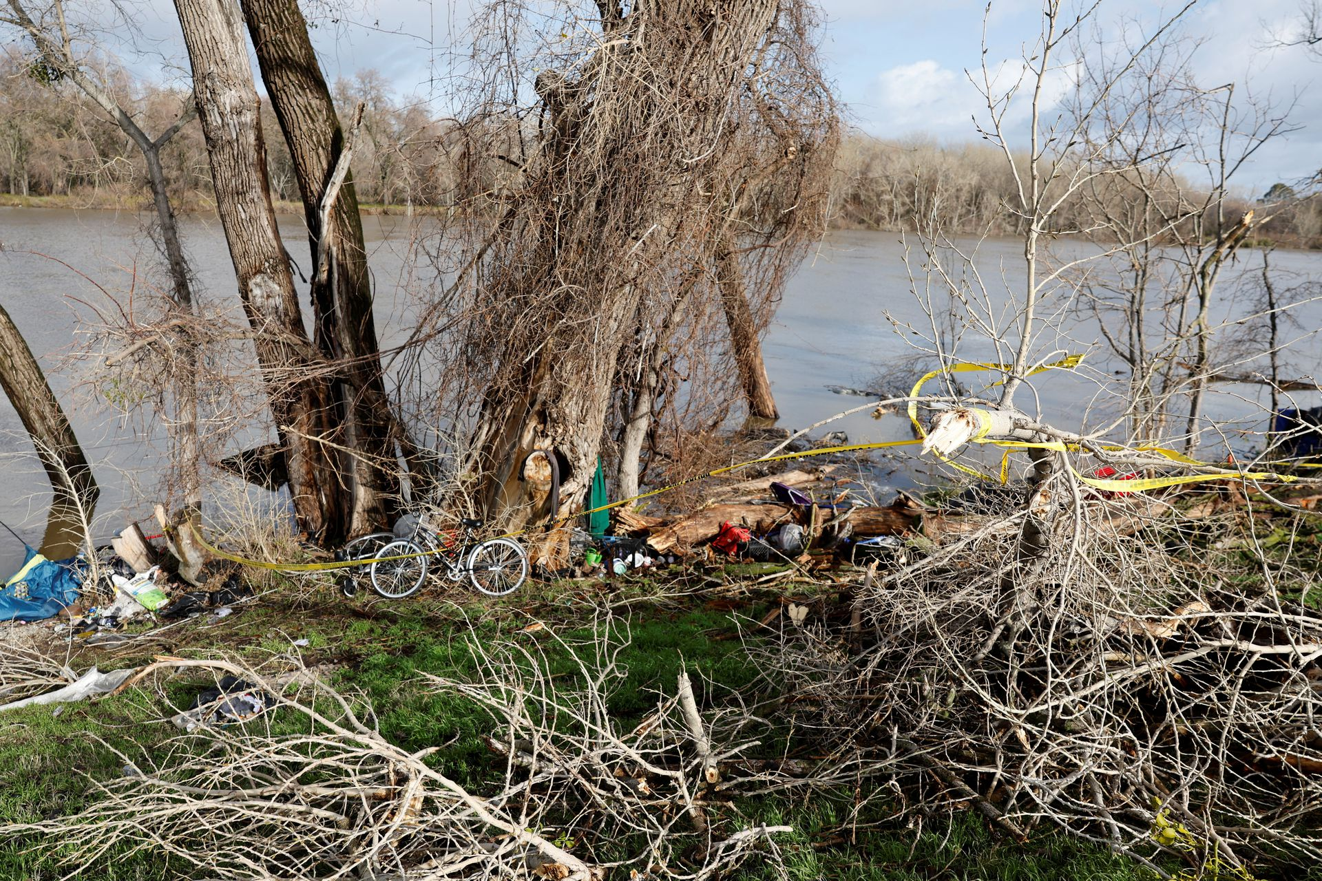 A view of a scene where a homeless woman was killed by a falling tree branch during a winter storm, at the bank of the Sacramento River in Sacramento, California, U.S. 8 January 2023. Photo: Fred Greaves / REUTERS