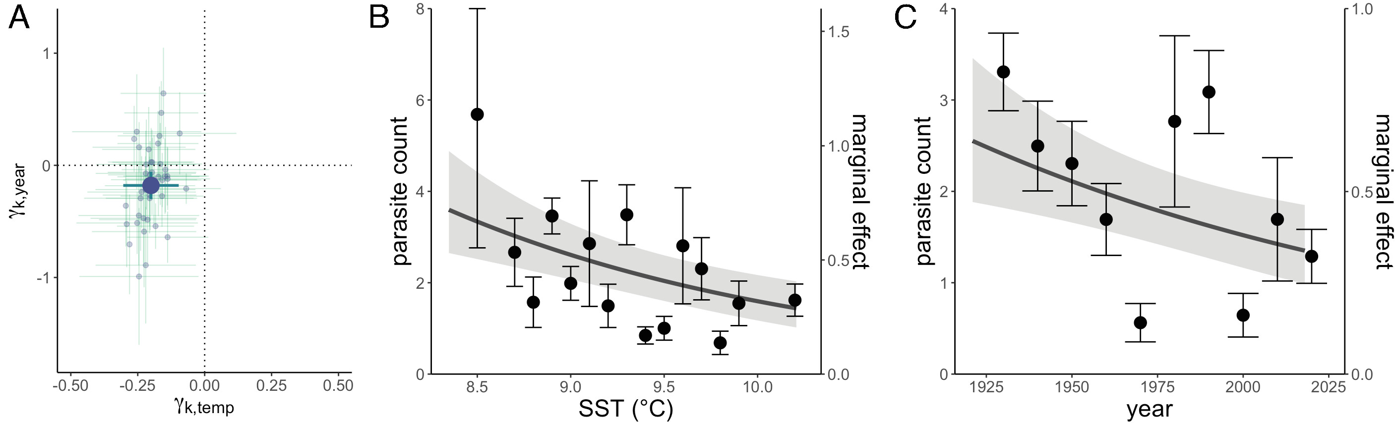 (A) Estimated effects (±SE) of temperature (x axis) and year (y axis) on ocean parasite counts for each parasite taxon (light blue), with mean effect size (±SE) over all taxa (dark blue) that have three or more obligately required hosts. (B) Parasite count as a function of SST in degrees Celsius in the year of the host’s collection (left axis, points) and fitted relative density of predictions (right axis, line). Points are parasite counts averaged within 0.1-degree increments; increments with fewer than 25 observations were excluded from this plot. (C) Parasite count as a function of year of the host’s collection (left axis, points) and fitted relative density of predictions (right axis, line). Points are parasite counts averaged within 10-y increments; increments with fewer than 25 observations were excluded from this plot. For both (B) and (C), the line represents predictions from a generalized linear mixed model, and the ribbon indicates ±1 SE of prediction. Predictions are for an average parasite taxon of an average host–parasite pair. Because of differences in baseline prevalence and counts when present, the prediction line for an average parasite taxon and average host–parasite pair (the marginal effect) will not equal the averages across data bins. Graphic: Wood, et al., 2023 / PNAS
