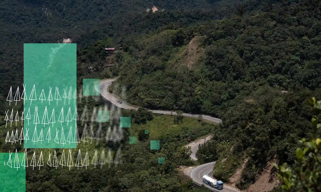 The Alto Mayo protection forest in Moyobamba, Peru, was supposed to be a flagship offsetting project but has faced human rights issues. Graphic: Guardian Design / AFP / Getty Images