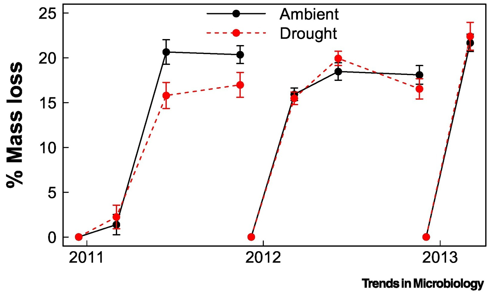 Graph showing that the legacy of drought exposure inhibits soil microbiome functioning for one year. Microbiomes from ambient and drought plots in California grassland were transplanted onto sterilized grassland litter which decomposed in the field for 1 year. Microbiomes were then collected at the end of the year and inoculated onto fresh litter for two subsequent years. Microbiomes originating from drought plots decomposed significantly less litter mass, but only during the first year. Figure adapted from Martiny, et al., 2017. Graphic: Steven D. Allison, 2023 / Trends in Microbiology