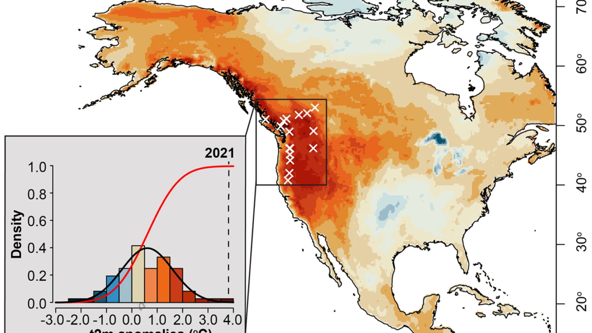Map showing the physical imprint and consequences of extreme summer heat across the Pacific Northwest in 2021. The June-August (JJA) 2021 seasonally averaged temperature anomalies (t2m) over North America calculated from the 1951-1980 mean of ERA5 Reanalysis, with the Pacific Northwest region (PNW; 42–53 °N, 124–115 °W, dark blue box) highlighted. The year 2021 (dashed black line) is shown relative to the distribution (black line) and probability density (red line) curves of JJA t2m values over the period 1950–2021 for the PNW region. White exes indicate the locations of all tree-ring chronology predictors used in the subsequent JJA t2m reconstruction. Graphic: Heeter, et al., 2023 / npj Climate and Atmospheric Science