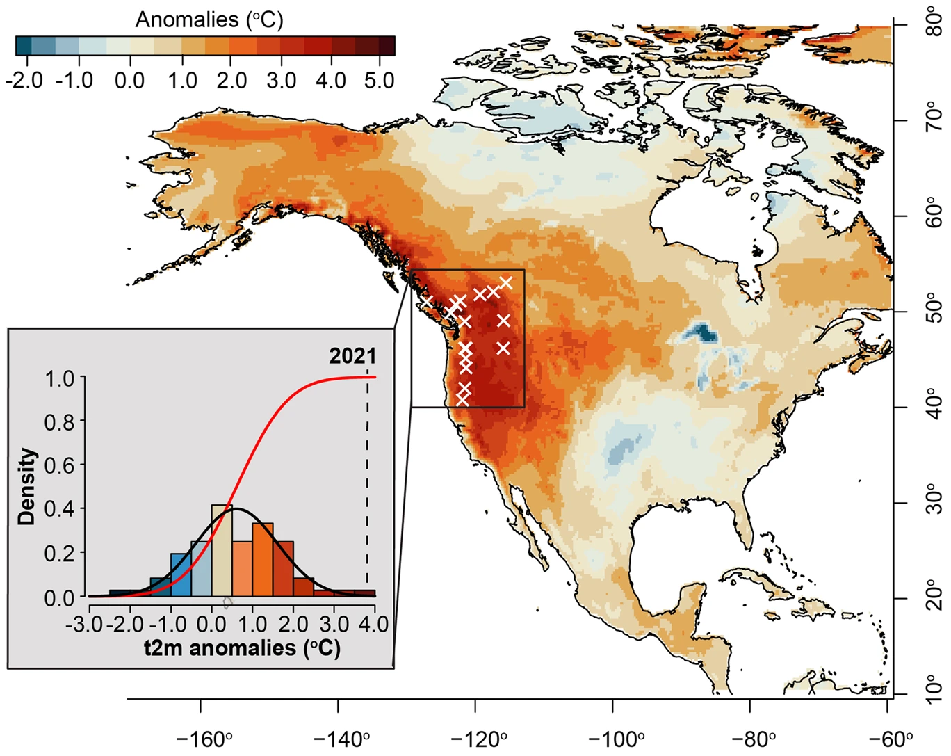 Map showing the physical imprint and consequences of extreme summer heat across the Pacific Northwest in 2021. The June-August (JJA) 2021 seasonally averaged temperature anomalies (t2m) over North America calculated from the 1951-1980 mean of ERA5 Reanalysis, with the Pacific Northwest region (PNW; 42–53 °N, 124–115 °W, dark blue box) highlighted. The year 2021 (dashed black line) is shown relative to the distribution (black line) and probability density (red line) curves of JJA t2m values over the period 1950–2021 for the PNW region. White exes indicate the locations of all tree-ring chronology predictors used in the subsequent JJA t2m reconstruction. Graphic: Heeter, et al., 2023 / npj Climate and Atmospheric Science
