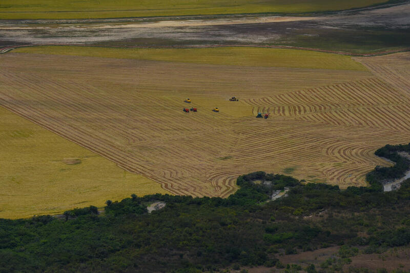 Aerial view of deforestation in the Amazon in 2022. Photo: Chico Batata / Greenpeace