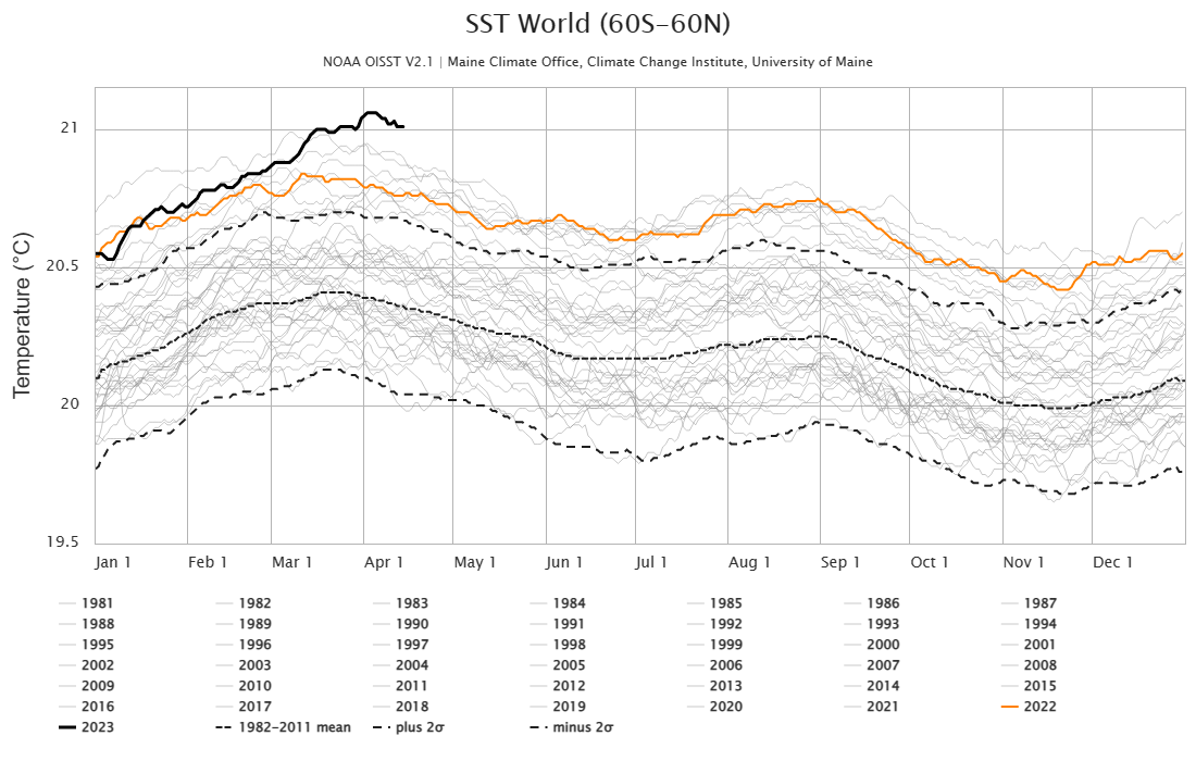Daily sea surface temperature, 1981-2023. Data for 2023 are highlighted in black bold, and 2022 in orange. The middle dotted line represents the 1982 to 2011 average. Graphic: ClimateReanalyzer.org