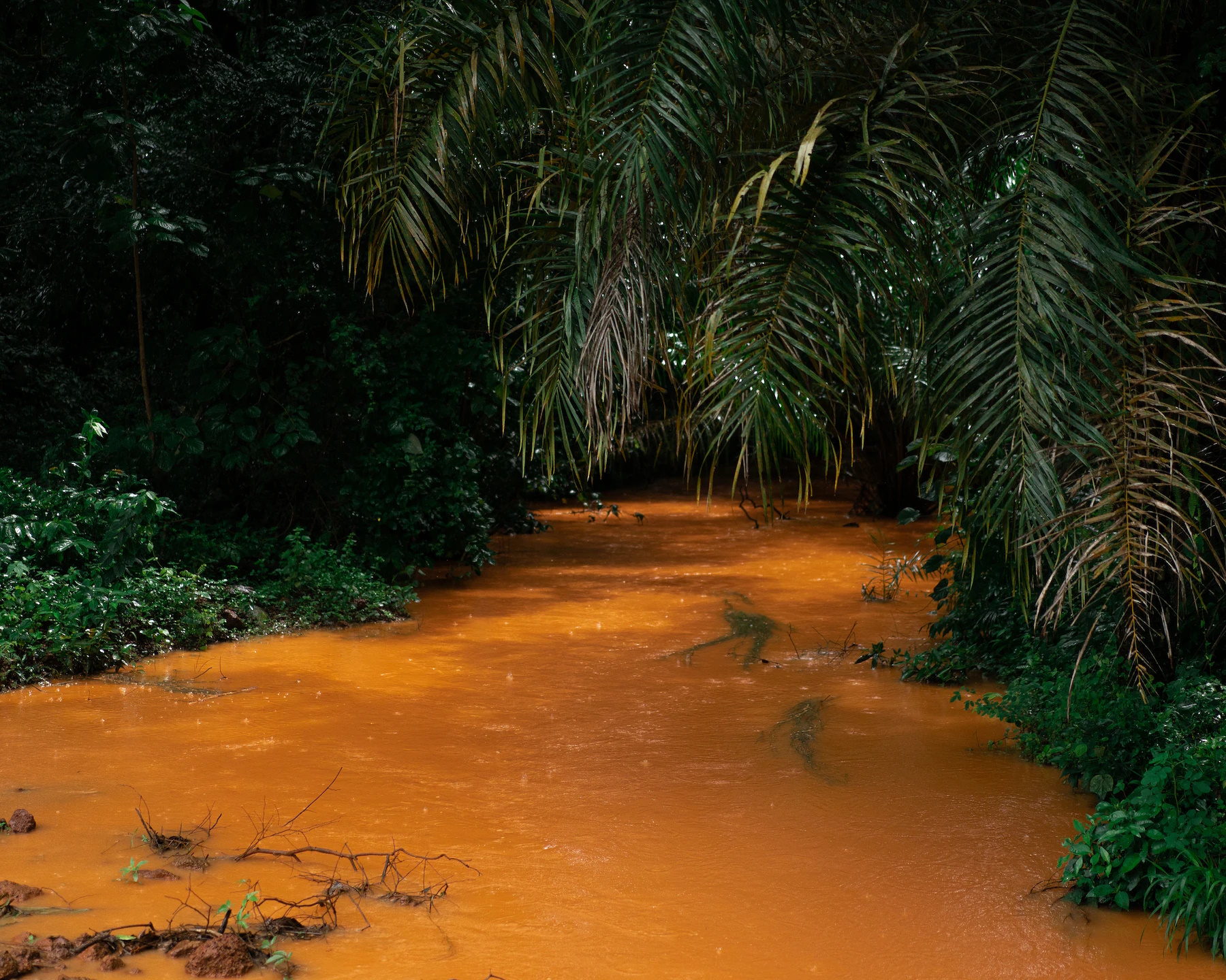 Bauxite mining operations upstream have turned the Fassalywol River in Guinea a reddish-orange color. Local women say they used to spend many pleasant hours on the river’s banks, chatting as they fished and prepared meals from the eggplant, tomatoes and peppers they grew. But they said that since CBG expanded its operations, including opening a bauxite storage site upriver in 2018, sediment has rendered the water uninhabitable for most fish and undrinkable for humans. Photo: Chloe Sharrock / MYOP / The Washington Post