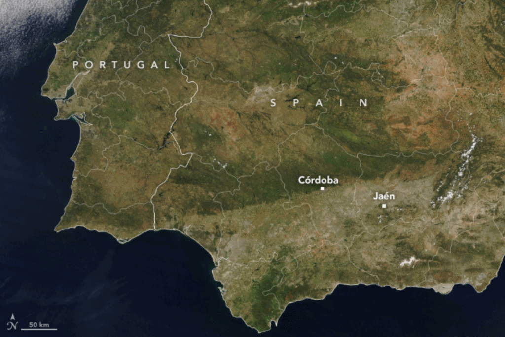 Satellite view of the Iberian Peninsula on 11 May 2023 and 11 May 2023. These images, acquired by the Moderate Resolution Imaging Spectroradiometer (MODIS) on NASA’s Terra satellite, show where green vegetation in May 2022 turned brown by May 2023. The sparse rainfall further parched soils that were already unusually dry in 2022. According to a recent report by Copernicus Climate Change Services, soil moisture across all of Europe in 2022 was the second lowest in the past 50 years. Unseasonable heat exacerbated the prolonged drought. On 26 April 2023, hot air from North Africa swept over southern Spain and pushed the temperature at the Córdoba airport to 38.8°C (101.8°F), the highest April temperature recorded in continental Spain. Photo: Allison Nussbaum / NASA Earth Observatory