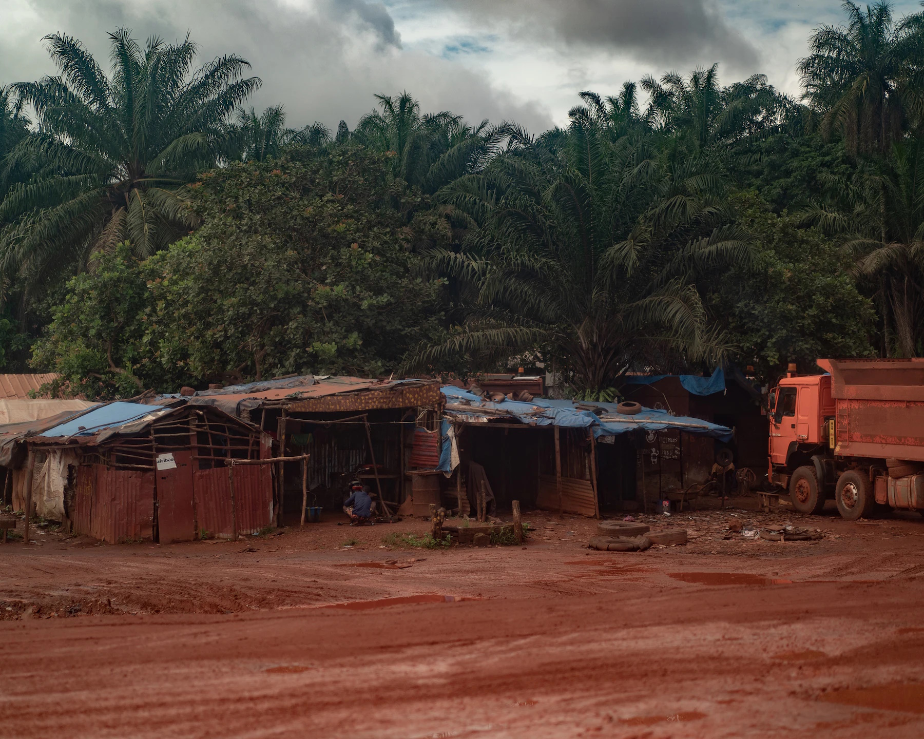 A village along a mining road that cuts through Boké, Guinea, facilitating the transport of tons of bauxite every day. Palm trees along a mining road are coated with red dust kicked up by trucks transporting bauxite. The dust prevents palm trees in plantations from growing properly, affecting villagers’ harvests. Photo: Chloe Sharrock / MYOP / The Washington Post