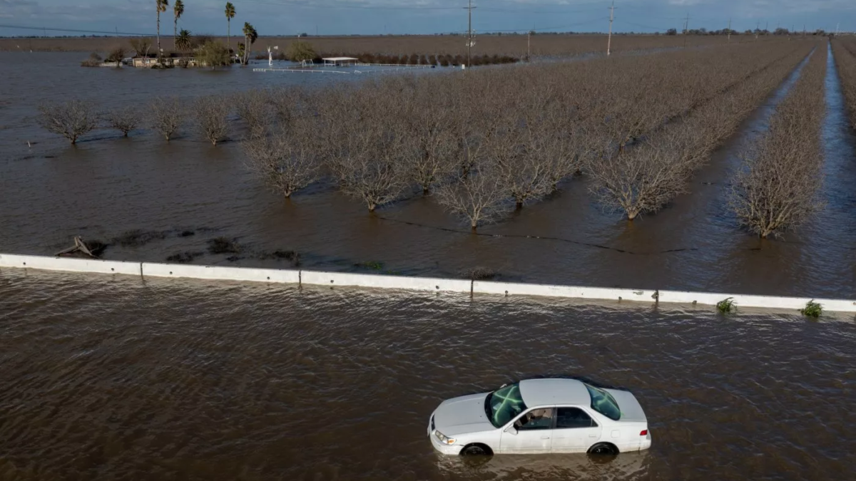 A car is pictured stranded in floodwater after floods on 24 March 2023 near Corcoran, California, the biggest city near Lake Tulare. Photo: David Mcnew / Getty