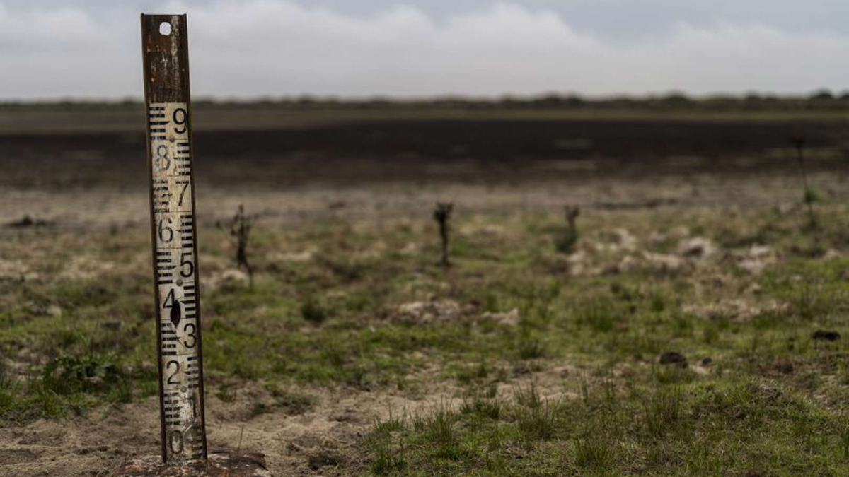 A water meter stands in dry wetland in Donana natural park, southwest Spain as unprecedented drought hits the nation in 2023. Photo: Bernat Armangue / Africanews / AP Photo