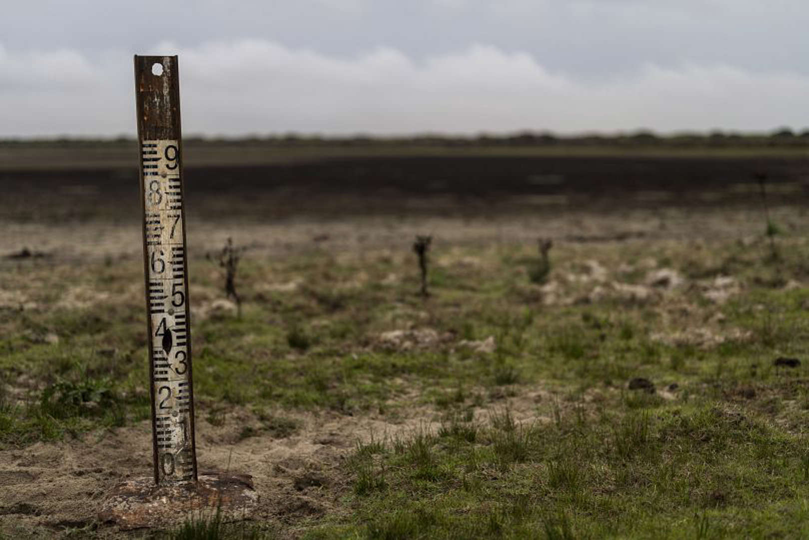 A water meter stands in dry wetland in Donana natural park, southwest Spain as unprecedented drought hits the nation in 2023. Photo: Bernat Armangue / Africanews / AP Photo
