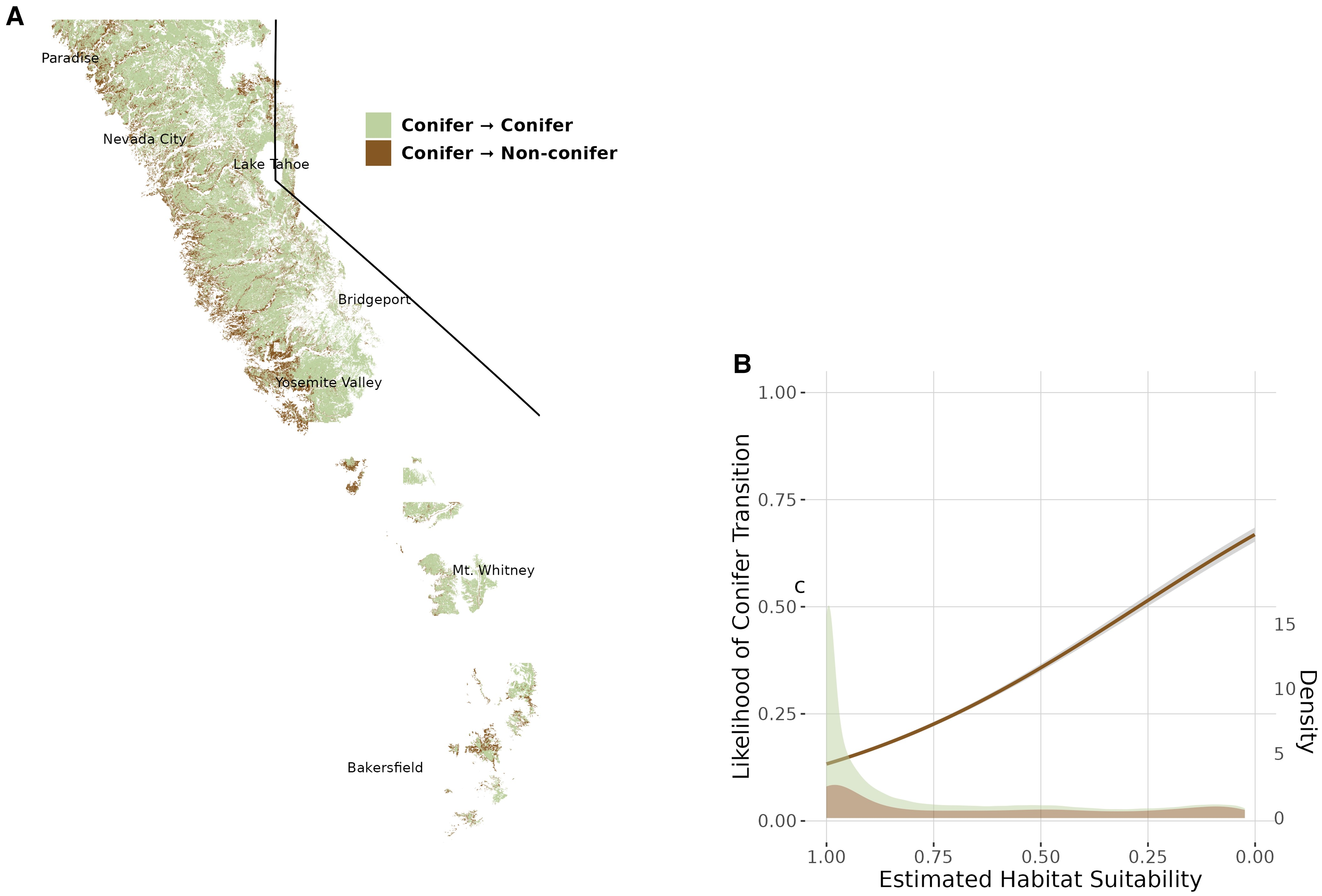 Habitat suitability of observed vegetation transitions between 1930s and 2010s. Areas that transitioned from conifer-dominated to angiosperm-dominated vegetation from 1930s to present tended to have lower modern conifer habitat suitability (p < 2 × 10−16). (a) All areas in the Sierra Nevada with complete vegetation data from the 1930s (Wieslander) and 2010s (EVeg) area shown. Most transitions from conifer-dominant vegetation are along the low-elevation edges of the historic conifer distribution. (b) The fitted logistic regression line indicates that the odds of conifer forests persisting decreased by 9.2% (95% CI = [0.092, 0.093]) for every 0.1 decrease in predicted habitat suitability. Probability density estimates for the areas of either transition or persistence are included. Graphic: Hill, et al., 2023 / PNAS Nexus