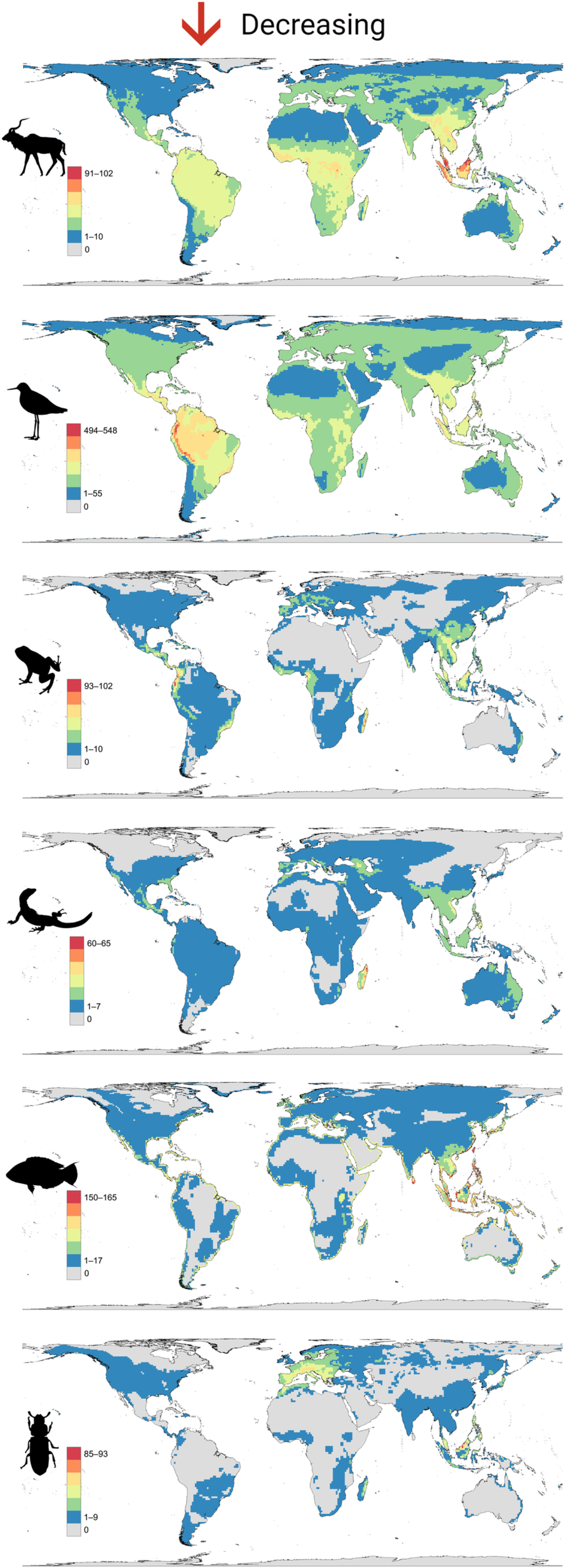 Maps showing the global distribution of animals with decreasing populations. Each taxonomic group is mapped individually. Numbers of species were counted within each 1° × 1° grid cell covering the globe, using a Behrmann’s equal area projection. Graphic: Finn, et al., 2023 / Biological Reviews
