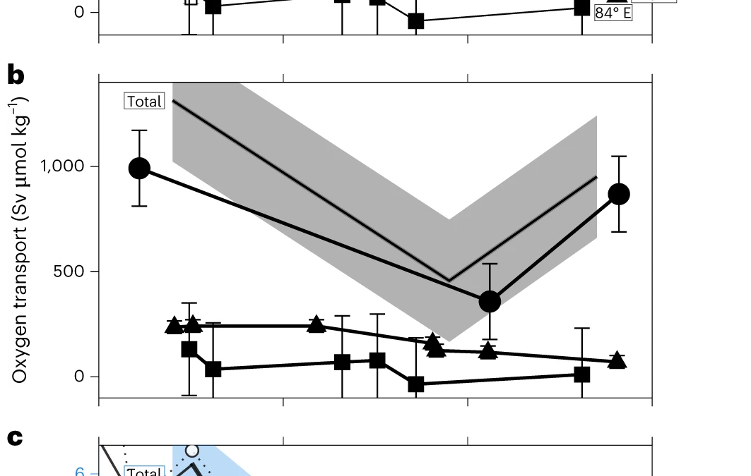 a, Volume transport. Black symbols show estimates ± calculated total uncertainty made using joint mooring-model-hydrographic method (square/triangle/circle symbols, 84° E/140° E/170° E; equation (2), Extended Data Fig. 7 and Supplementary Section 2). White symbols show comparative estimates from other studies11,24,47,48,49,50 (Supplementary Table 3). Blue line, total volume transport for time periods of 1994–1996, 2007–2011 and 2016–2018, which estimates the strength of the lower limb of overturning circulation in the Australian Antarctic Basin (shading shows total error of 1.2 Sv; Supplementary Table 2). b, Oxygen transport. Black line, total oxygen transport that estimates abyssal ventilation ± total uncertainty of 290 Sv mol kg−1 (equation (3)). c, Comparison of lower limb of overturning circulation and shelf salinities from a site of DSW formation in Ross Sea (Terra Nova Bay; refs. 12,13,35). Dotted blue arrows show declining trend in overturning for 1994–2009 and 1994–2017 that have uncertainties of ±0.5 Sv decade−1. Graphic: Gunn, et al., 2023 / Nature Climate Change