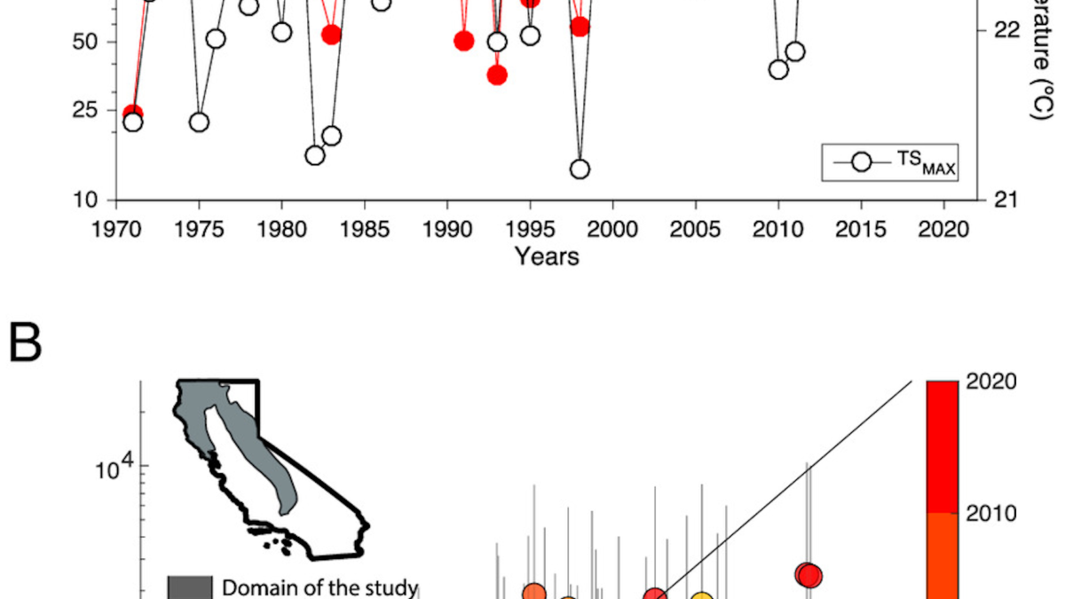Time series of summer forest fire burned area and spring to summer (April to October) maximum near surface temperature 1971-2021 in California; (B) observed versus out-of-sample 10-fold predicted changes in BA. Vertical gray lines indicate 2.5th and 97.5th percentiles of 10,000 different predictions. Colors indicate the decade of each sample. The Inset shows a map of California with the domain of interest shaded in gray. Turcu, et al., 2023 / PNAS