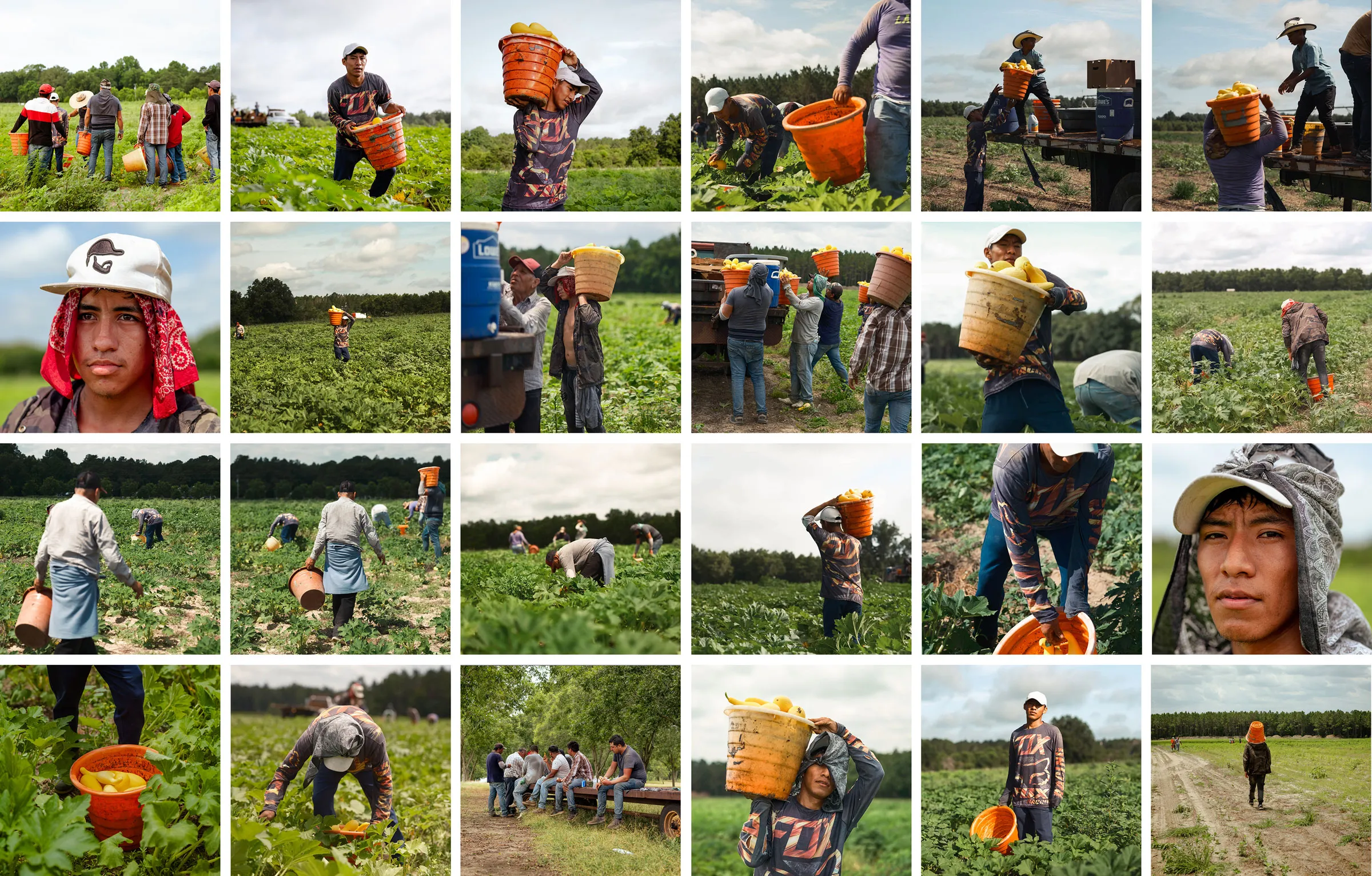 Migrant workers from Mexico, working on six-month visas, pick squash and peppers on a farm in Lyons, Georgia, in July of 2023. Photo: José Ibarra Rizo / TIME