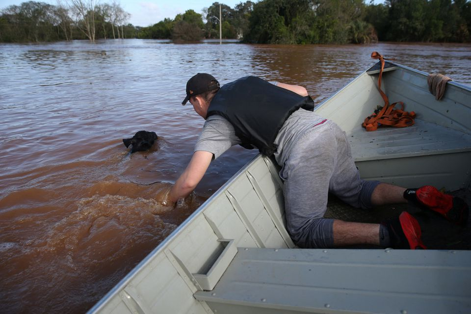 Lucas Atkinson rescues a calf in a flooded area after a cyclone hit southern towns, in Venancio Aires, Rio Grande do Sul state, Brazil, 5 September 2023. Photo: Diego Vara / REUTERS