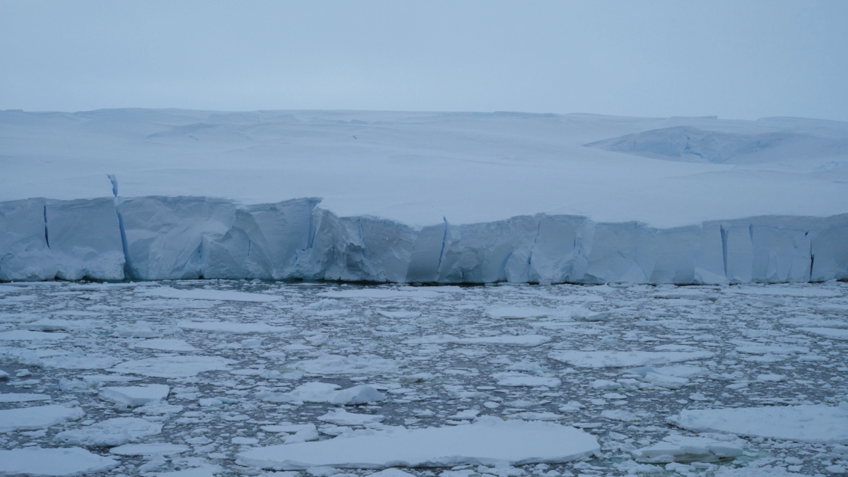 The calving front of the Thwaites Glacier in the Amundsen Sea in 2019, viewed from the R/V Nathaniel B. Palmer. Photo: Elizabeth Rush