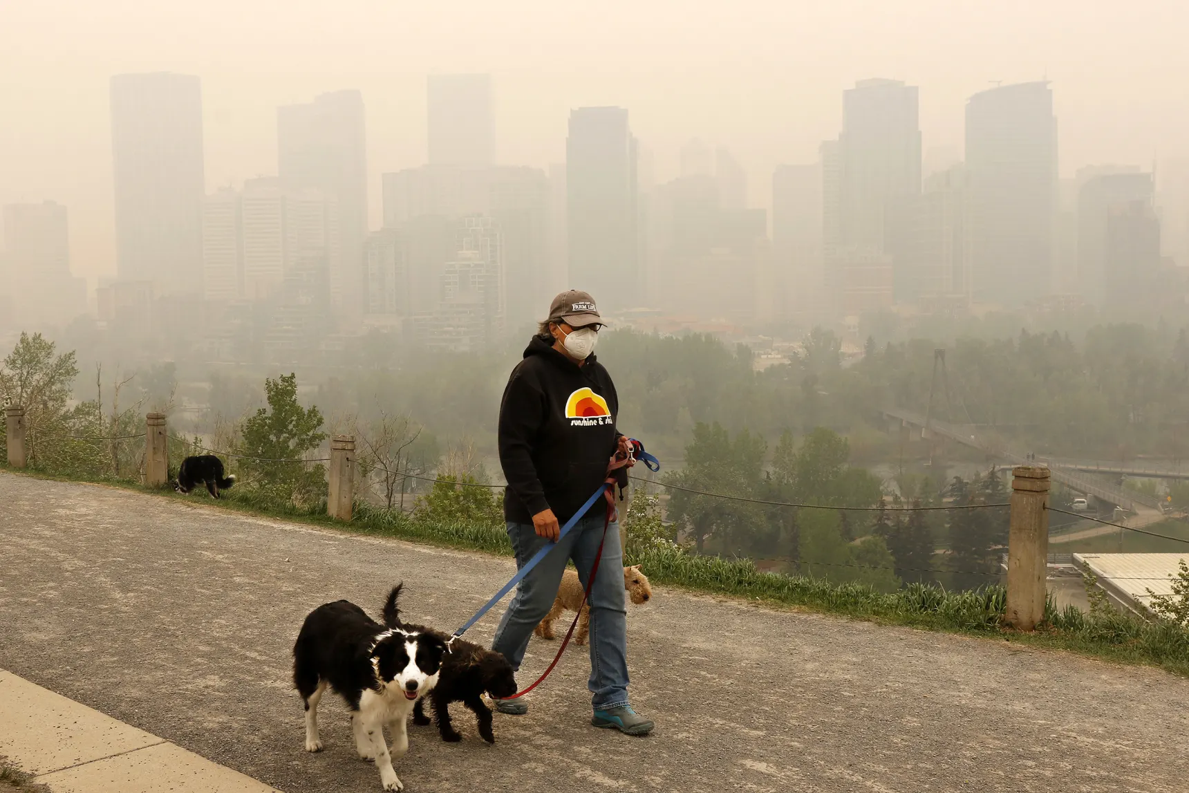 Dog walker Leslie Kramer ventures out as heavy smoke from northern Alberta forest fires blankets downtown Calgary on Tuesday, 16 May 2023. Photo: Larry MacDougal / The Canadian Press / AP