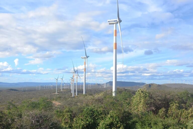 A wind farm in the Caatinga biome in northeastern Brazil. Photo: Ismael A. Silva