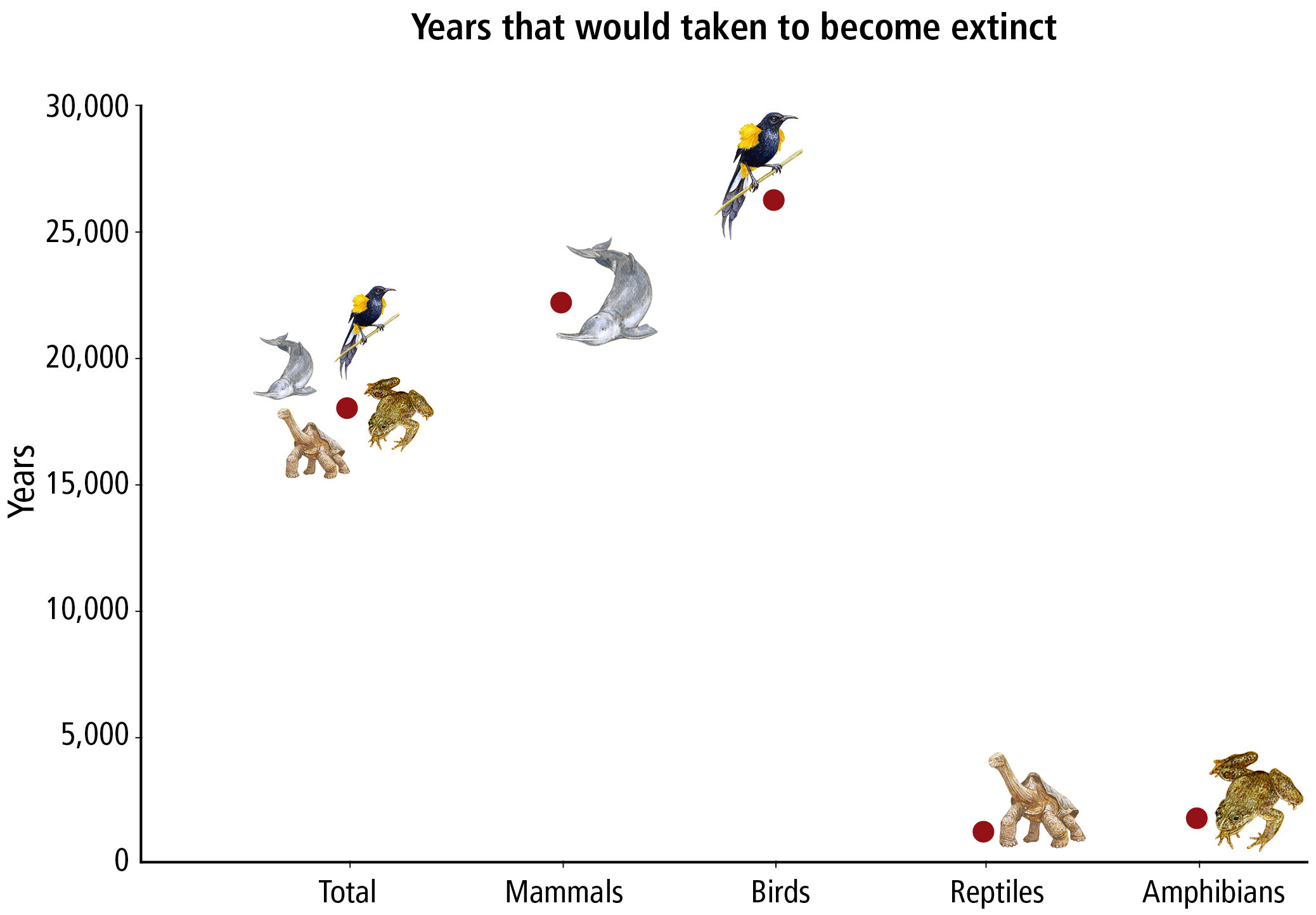 Number of years that would have taken for vertebrate genera to become extinct under the background extinction rate prevailing in the last million years. The number of years for all extinct vertebrate genera is 18,000 y. Reptiles and amphibians have fewer extinct genera, so their values are much smaller that mammals and birds. Graphic: Ceballos and Ehrlich, 2023 / PNAS