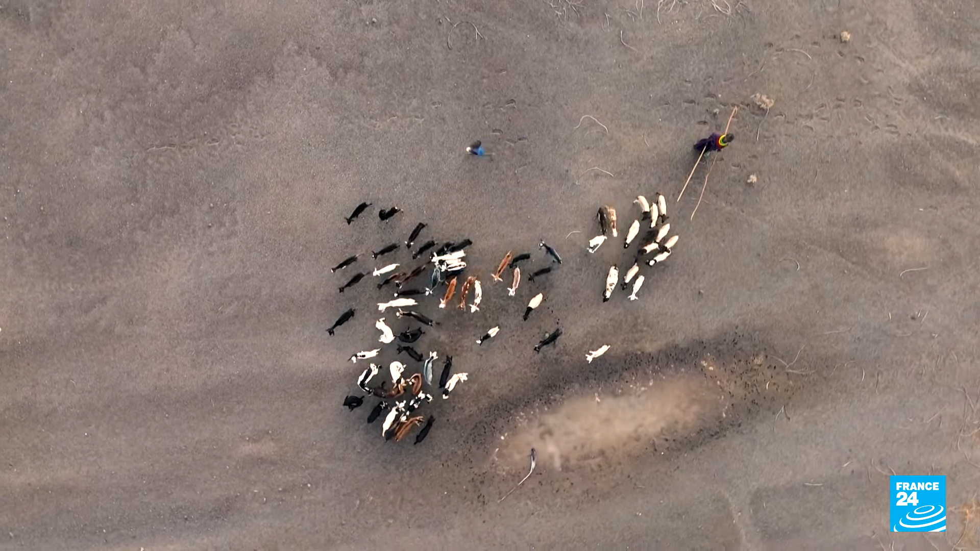 Aerial view of the Turkana people, nomadic herders in Kenya, near a dried-up watering hole. They were suffering amid a five-year drought in March 2023. Photo: FRANCE 24