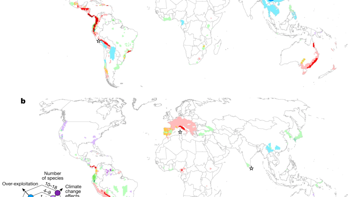 Geographical pattern of the primary drivers of deteriorating status among amphibians. a,b, The primary drivers of deteriorating status among amphibians during 1980–2004 (482 species; a) and 2004–2022 (306 species; b). Cell colour was determined by the primary driver impacting the most species. Where two primary drivers equally contribute to a cell, an intermediate colour is shown. The stars indicate where the primary driver is undetermined or there are numerous primary drivers. The cell area is 7,775 km2. Graphic: Luedtke, et al., 2023 / Nature