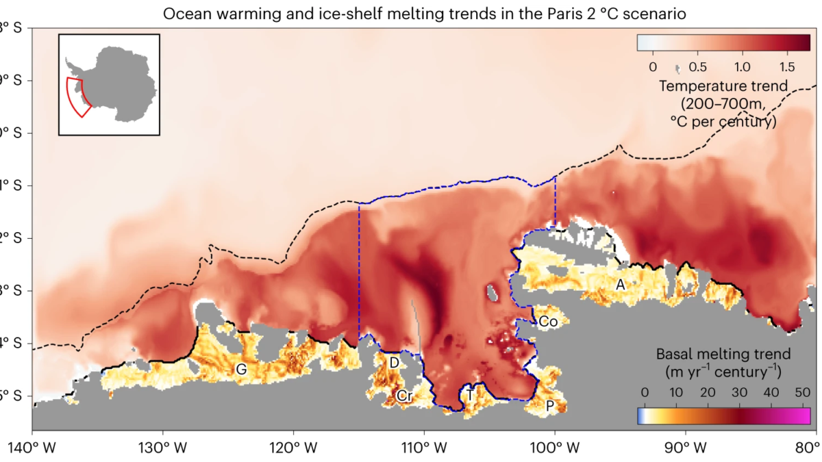 Map of ensemble mean trends in ocean temperature and ice-shelf basal melting in the West Antarctic Ice Sheet (WAIS) for the Paris 2°C scenario. Temperature is averaged over the depth range 200–700 m. Trends are calculated at each point using annually averaged fields from 2006–2100. White regions indicate no significant trend. The Amundsen Sea region visualized here (latitude–longitude projection) is outlined in red in the inset map of Antarctica (polar stereographic projection). The black dashed line shows the 1,750 m depth contour of the continental shelf break and the blue dashed line outlines the continental shelf region used for analysis. Labels denote ice shelves (G, Getz; D, Dotson; Cr, Crosson; T, Thwaites; P, Pine Island; Co, Cosgrove; A, Abbot). Graphic: Naughten, et al., 2023 / Nature