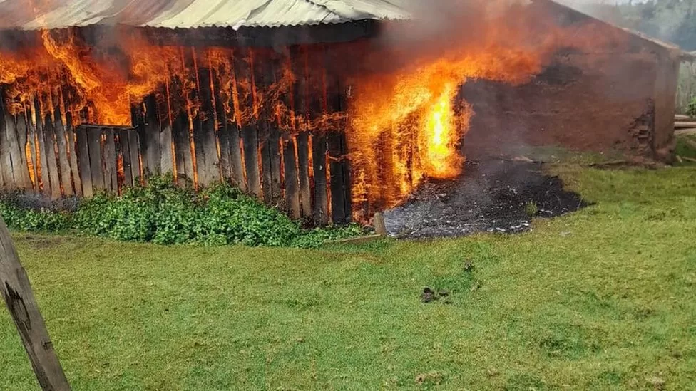 An Ogiek home in Kenya’s Mau Forest that has been set on fire to illegally evict hunter-gatherers from their ancestral lands to profit from carbon offsetting schemes. Photo: OPDP / BBC