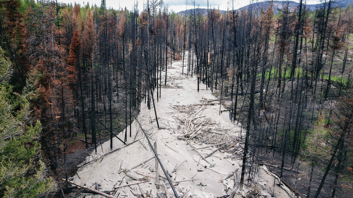 A post-wildfire debris flow in the burn scar of the Walker Creek Fire caused significant damage in central Washington in the summer of 2022. Photo: Washington State Department of Natural Resources