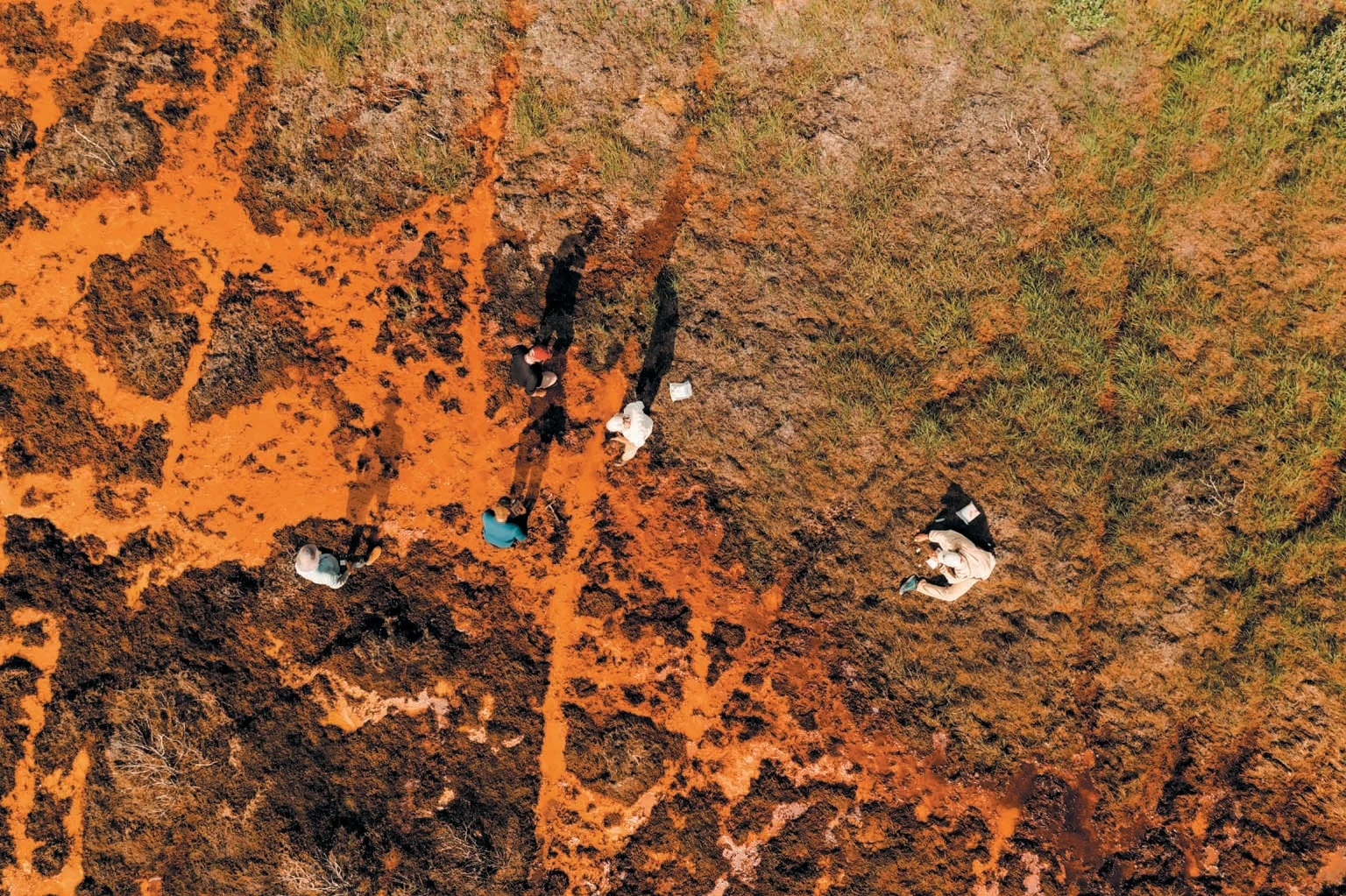 Researchers collect water samples and data at a rusty seep in northwestern Alaska’s Brooks Range. They think the straight orange lines may be trails left by caribou, Dall Sheep or wolves. Photo: Taylor Roades / Scientific American