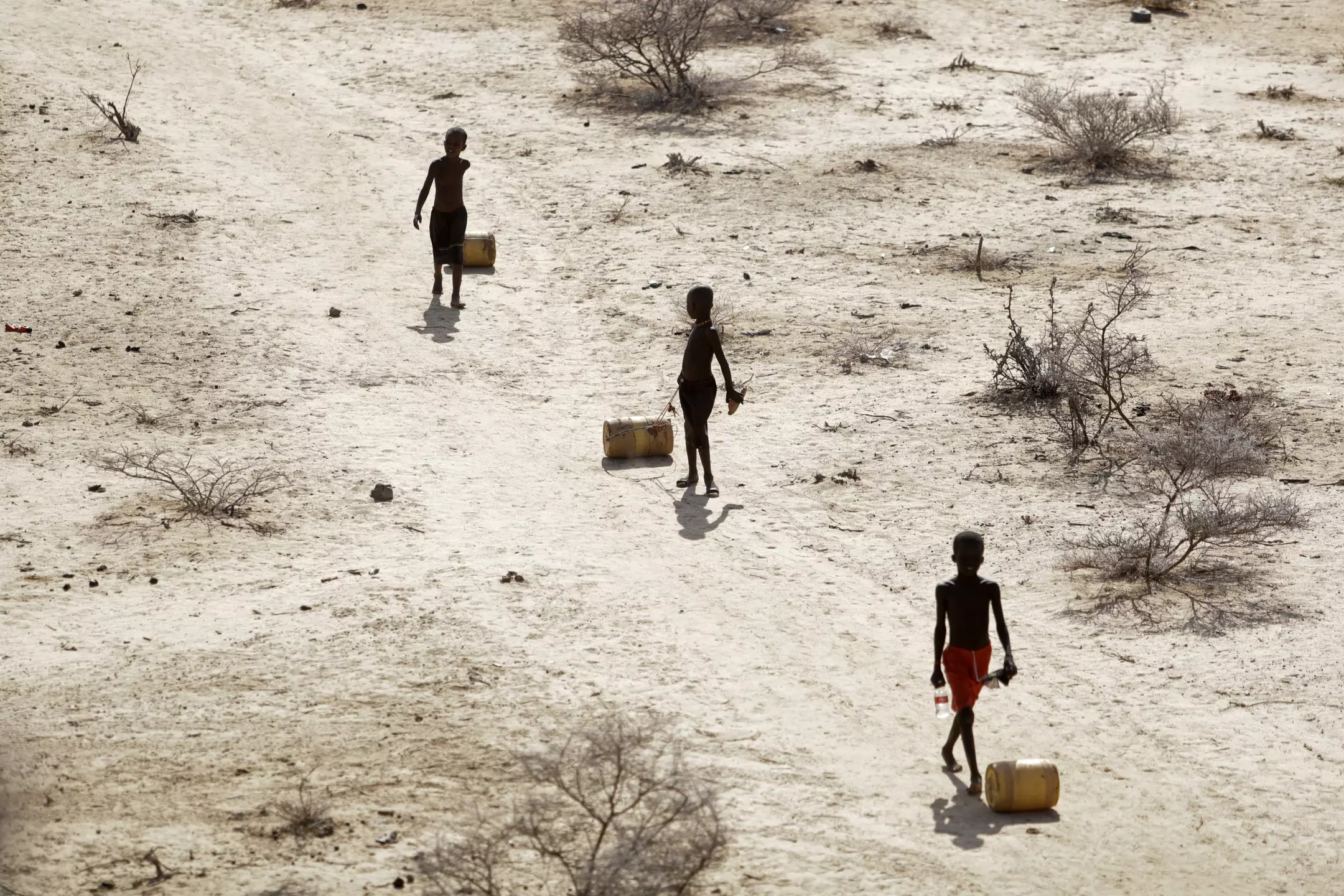 Boys pull containers filled with water as they return from a well in the village of Ntabasi, Kenya, amid drought in 2022. Photo: Brian Inganga / Associated Press