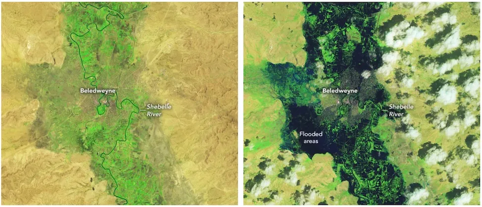 Flooding in the area of Beledweyne, Somalia, pushed an estimated 250,000 people (90 percent of the local population) out of their homes. Above are images from the OLI (Operational Land Imager) on the Landsat 8 satellite, showing where water covered the ground on 12 September 2023 (left) and 15 November 2023 (right). Each frame is roughly 12 miles (20 kilometers) wide. Photo: NASA Earth Observatory