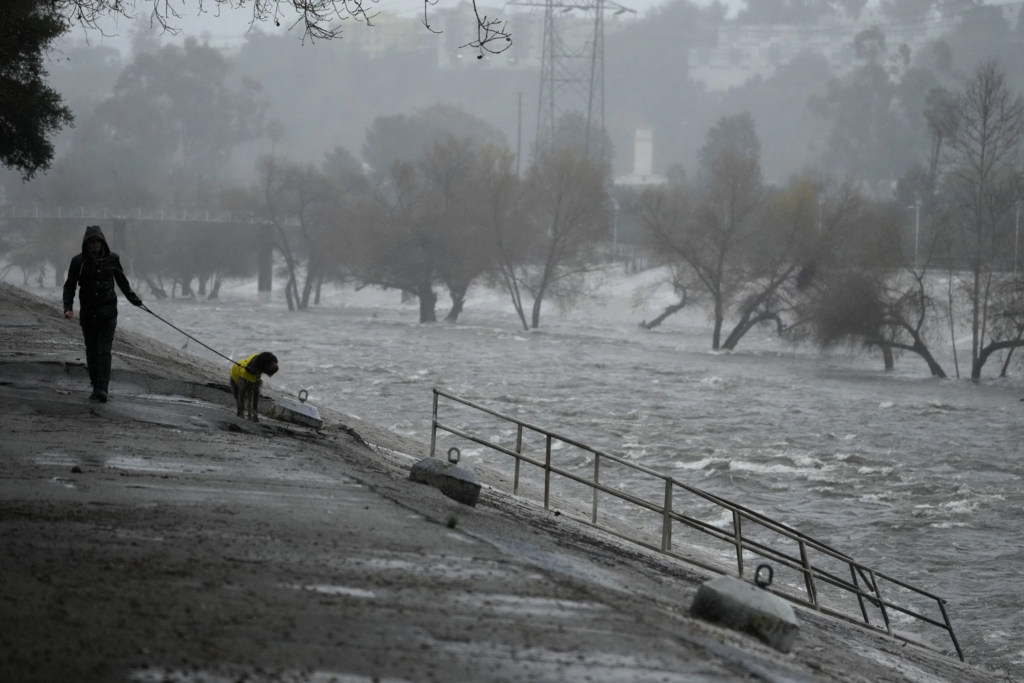 A man walks his dog on the edge of the Los Angeles River, carrying stormwater downstream Sunday, 4 February 2024, in Los Angeles. The second of back-to-back atmospheric rivers battered California, flooding roadways and knocking out power to hundreds of thousands and prompting a rare warning for hurricane-force winds as the state braced for what could be days of heavy rains. Photo: Damian Dovarganes / AP Photo