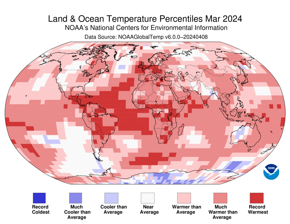 March 2024 blended land and sea surface temperature percentiles. Ocean temperatures ranked warmest on record for March at 1.01°C (1.82°F) above average. This is 0.18°C (0.32°F) warmer than the second warmest March of 2016, and the 12th-consecutive monthly record high. These temperatures occurred as the current El Niño episode nears its end.  Graphic: NOAA / NCEI