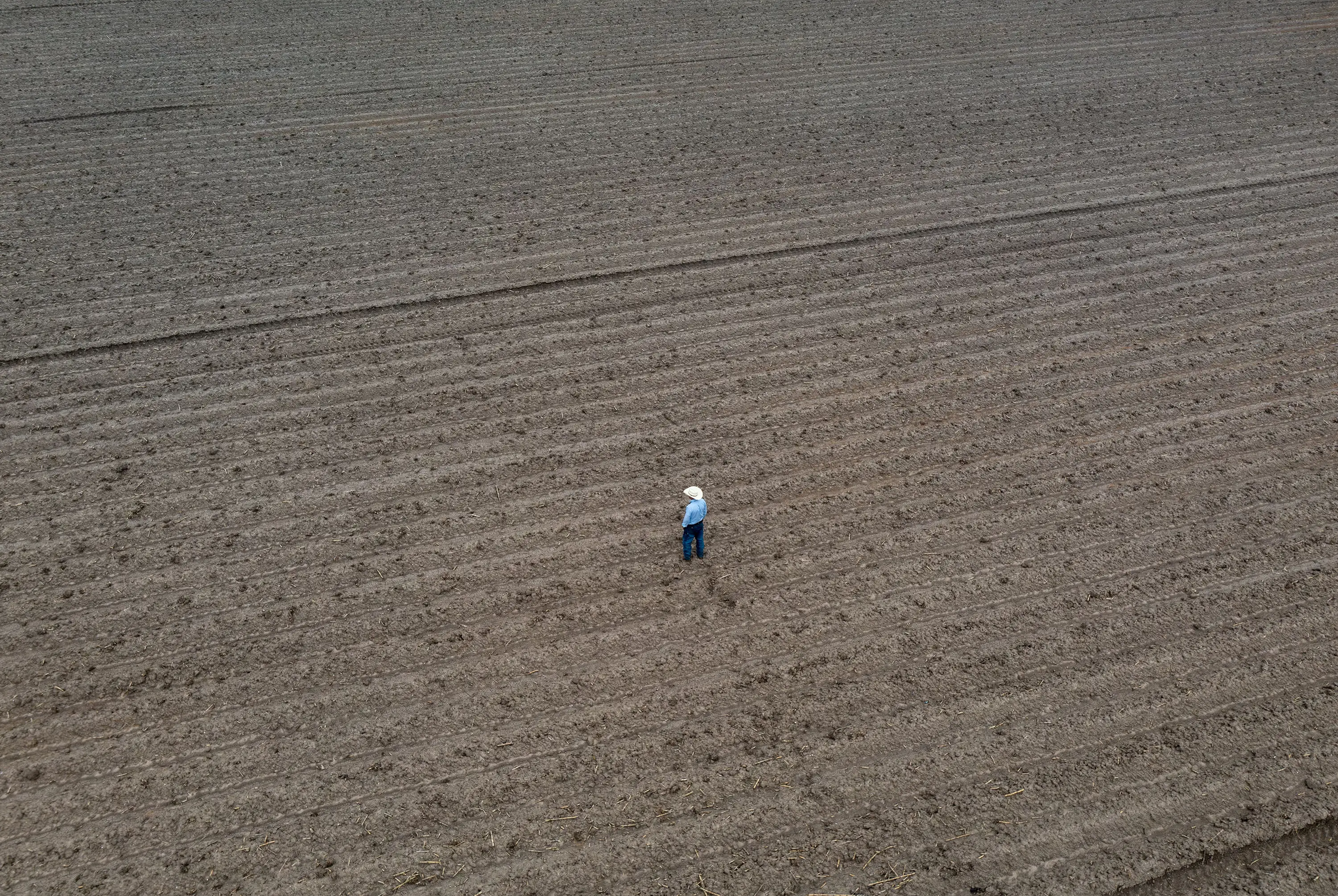 Mike England, who owns England Farms and Cattle Company located 29 miles east of McAllen, walks across one of the fields on his farm near Mercedes, Texas on 18 April 2024. England had to destroy 500 acres worth of sugar cane he’d grown because of the ongoing drought in the Rio Grande Valley. Credit: Photo: Ben Lowy / The Texas Tribune
