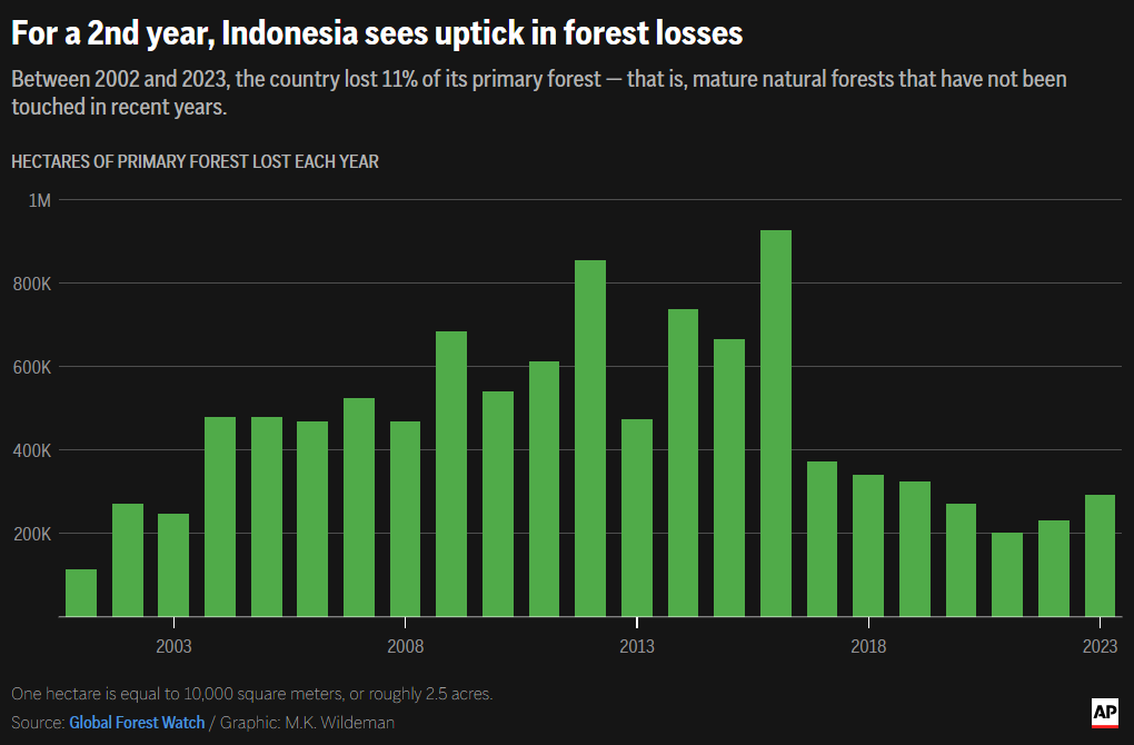 Hectares of primary forest lost each year in Indonesia, 2001-2023. For a second year, Indonesia saw an uptick in forest losses. Between 2002 and 2023, the country lost 11 percent of its primary forest — that is, mature natural forests that have not been touched in recent years. Data: Global Forest Watch. Graphic: M.K. Wildeman / AP