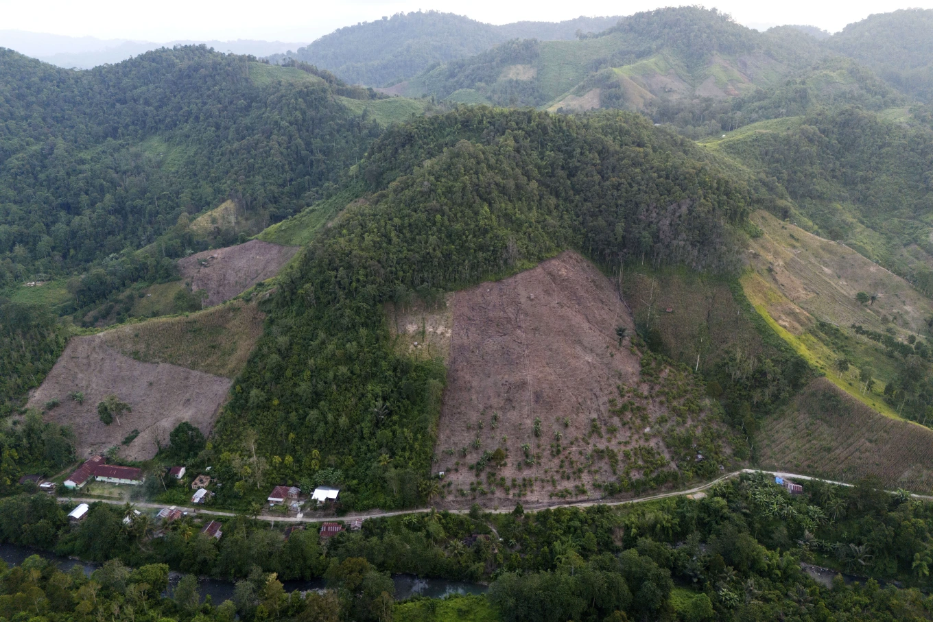 A hill that has been cleared from trees to make way for a corn plantation is visible in Polewali Mandar, South Sulawesi, Indonesia, Saturday, 20 April 2024. Photo: Yusuf Wahil / AP Photo