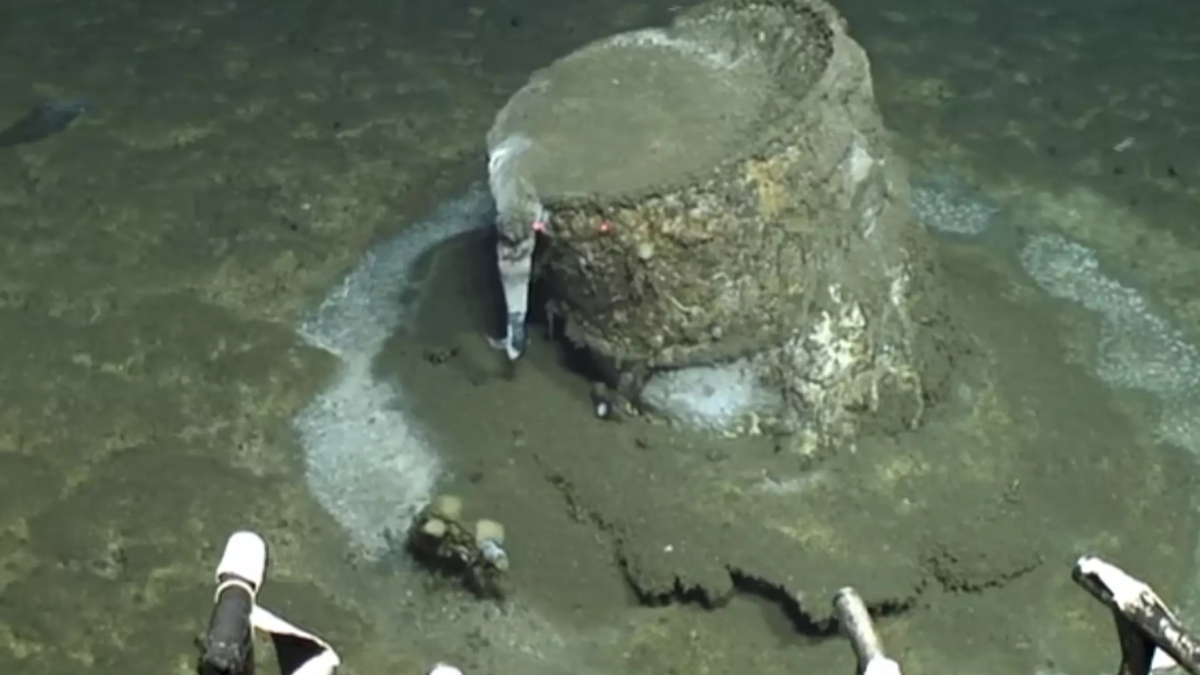 Research into Southern California’s history of ocean dumping was spurred by the discovery of mysterious and corroded barrels dumped off the coast of Los Angeles. Photo: David Valentine / ROV Jason