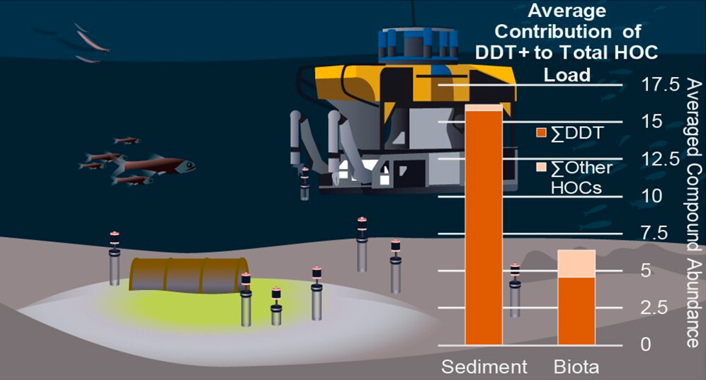 Average contribution of DDT+ to total halogenated organic compounds (HOCs) in sediment and biota in the Southern California Bight (SCB). Graphic: Stack, et al., 2024 / Environmental Science and Technology Letters