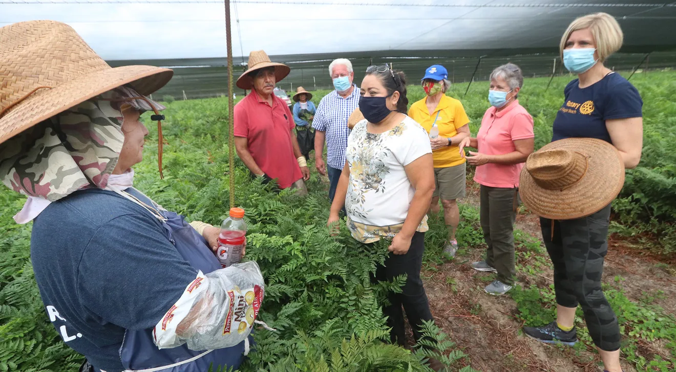 Farmworkers in Florida must brave deadly working conditions in summer heat. Photo: David Tucker / News Journal