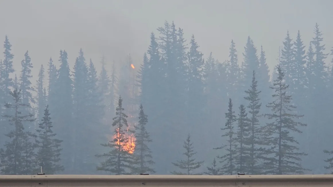 Flames and smoke rise from a burning wildfire, as seen from a highway, in Jasper, Alberta, Canada, on Tuesday, 23 July 2024 in this screen grab obtained from a social media video. Photo: Donald Schroll / Reuters