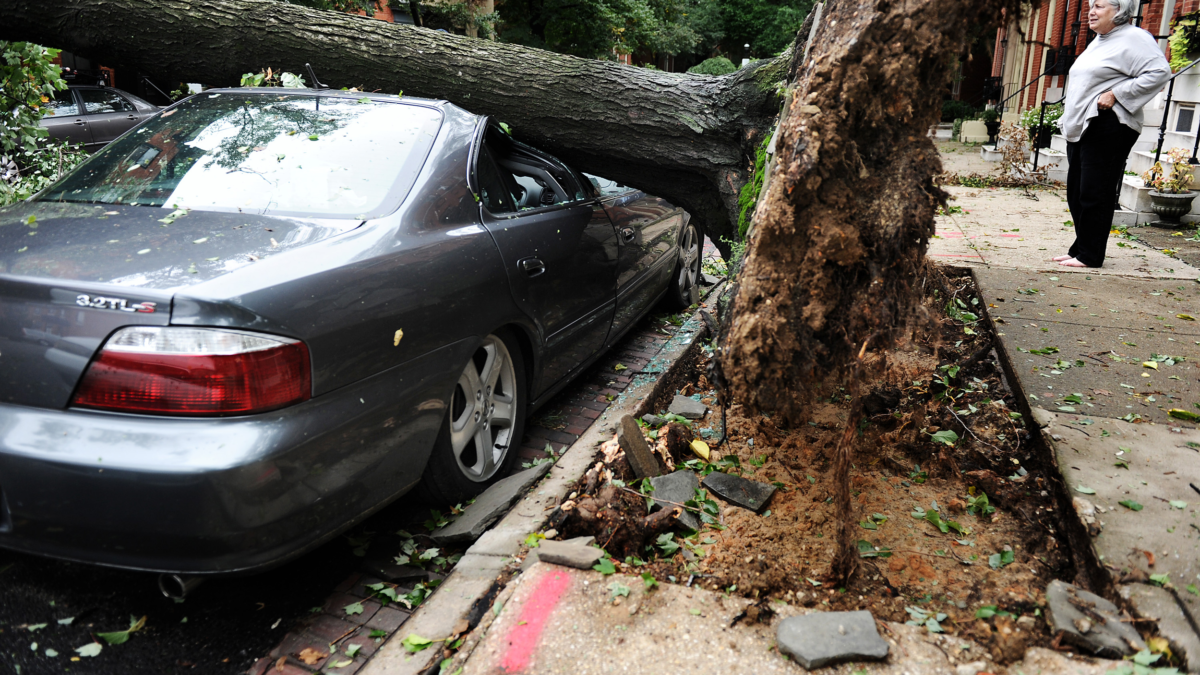 Neighbors look at a car crushed by a large tree in the wake of Hurricane Irene on 28 August 2011 in Baltimore, Maryland. Photo: Patrick Smith / Getty Images