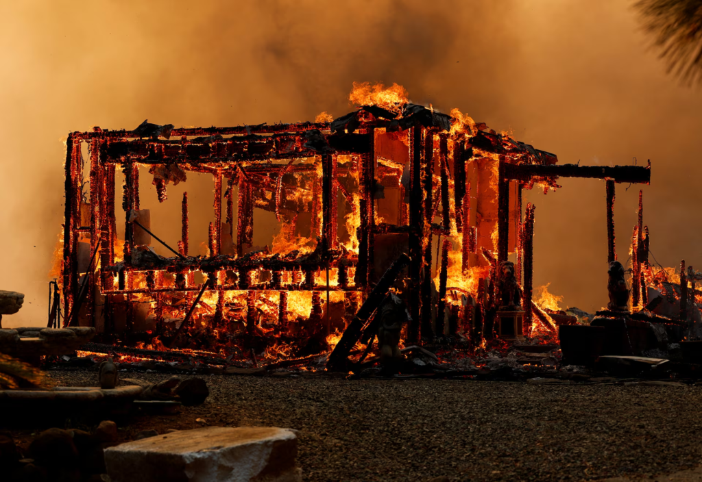 A structure burns in the Park Fire near Forest Ranch, California, U.S. 25 July 2024. Photo: Fred Greaves / REUTERS