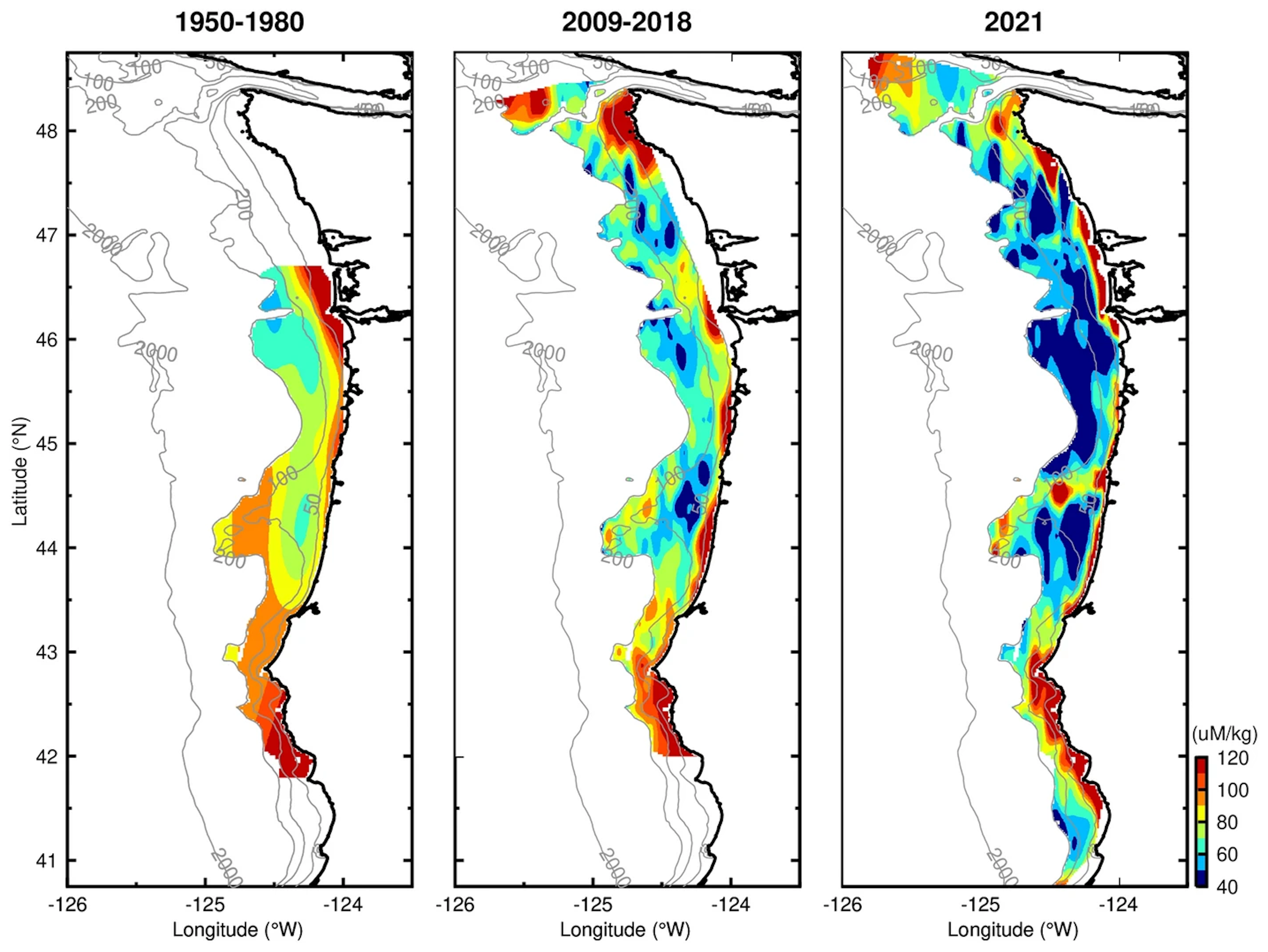 Maps of near-bottom dissolved oxygen in the continental shelf waters off the United States Pacific Northwest, 1950-2021. About half of the water near the seafloor off the Pacific Northwest coast experienced low-oxygen conditions in 2021. Data from 1950 to 1980 are from the World Ocean Database32, data from 2009–2018 are from the NOAA Groundfish survey, and data from 2021 are from this study. Graphic: Barth, et al., 2024 / Nature Scientific Reports