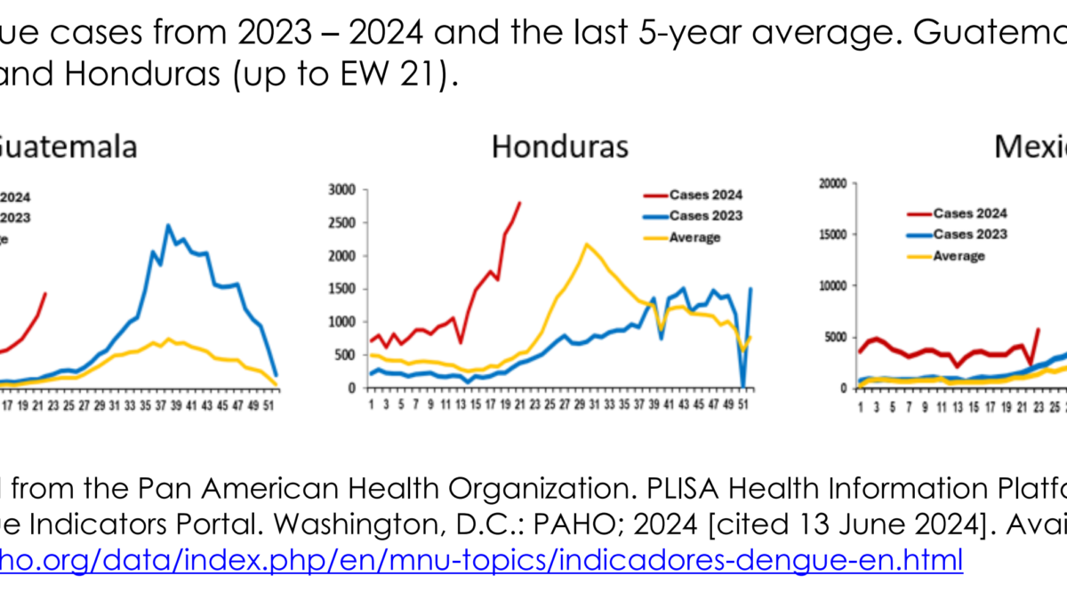 Dengue cases in Guatemala, Mexico, and Honduras, 2023-2024 and 5-year average. In the Region of the Americas, the number of dengue cases recorded during the first half of 2024 exceeded the maximum number of cases historically reported in a year, as compared to all previously recorded years. As of epidemiological week (EW) 23 of 2024, 43 countries and territories in the Region of the Americas have reported 9,386,082 cases of dengue; this number is twice as high as the number of cases recorded throughout 2023, 4,617,108 cases. Data: Adapted from the Pan American Health Organization / PLISA Health Information Platform for the Americas, Dengue Indicators Portal, Washington, D.C. PAHO; 2024 cited 13 June 2024. Graphic: PAHO / WHO