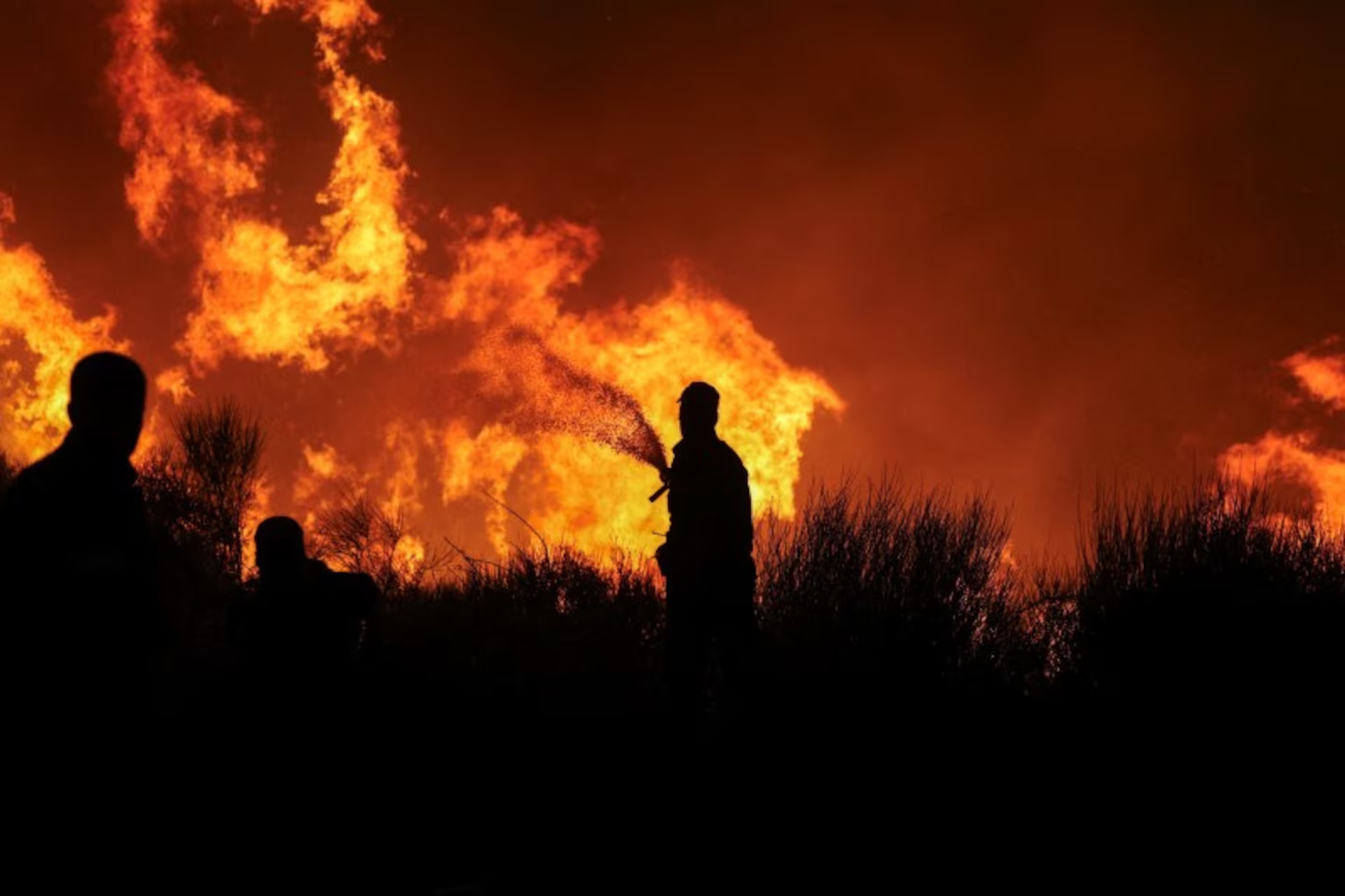 Firefighters try to extinguish a wildfire burning in Dionysos, Greece, 12 August 2024. Photo: Alexandros Avramidis / REUTERS