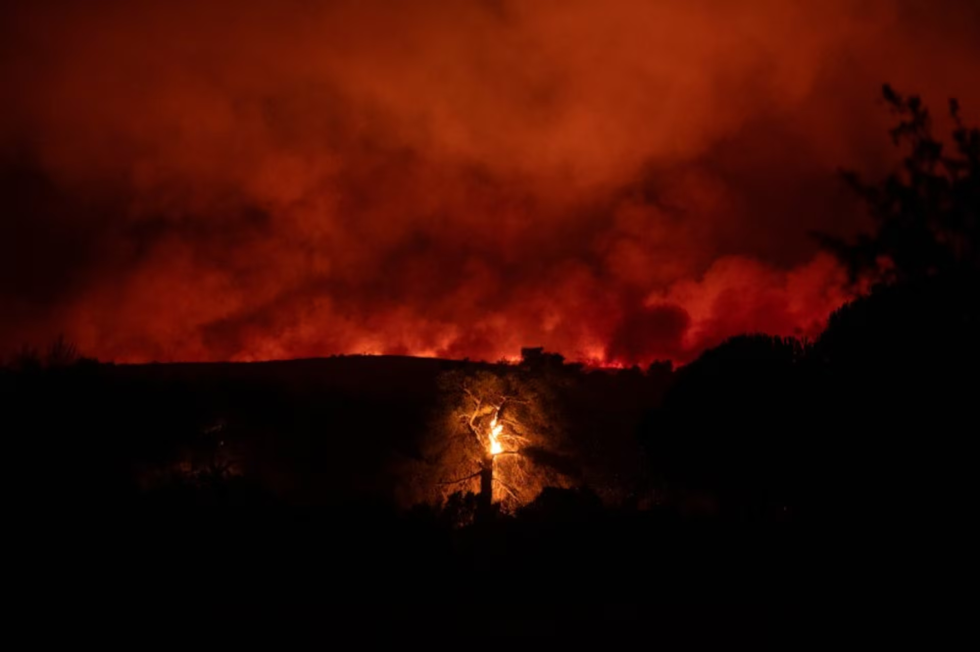 Wildfires spread during the night around Varnavas, Greece, 11 August 2024. Photo: Hilary Swift / REUTERS