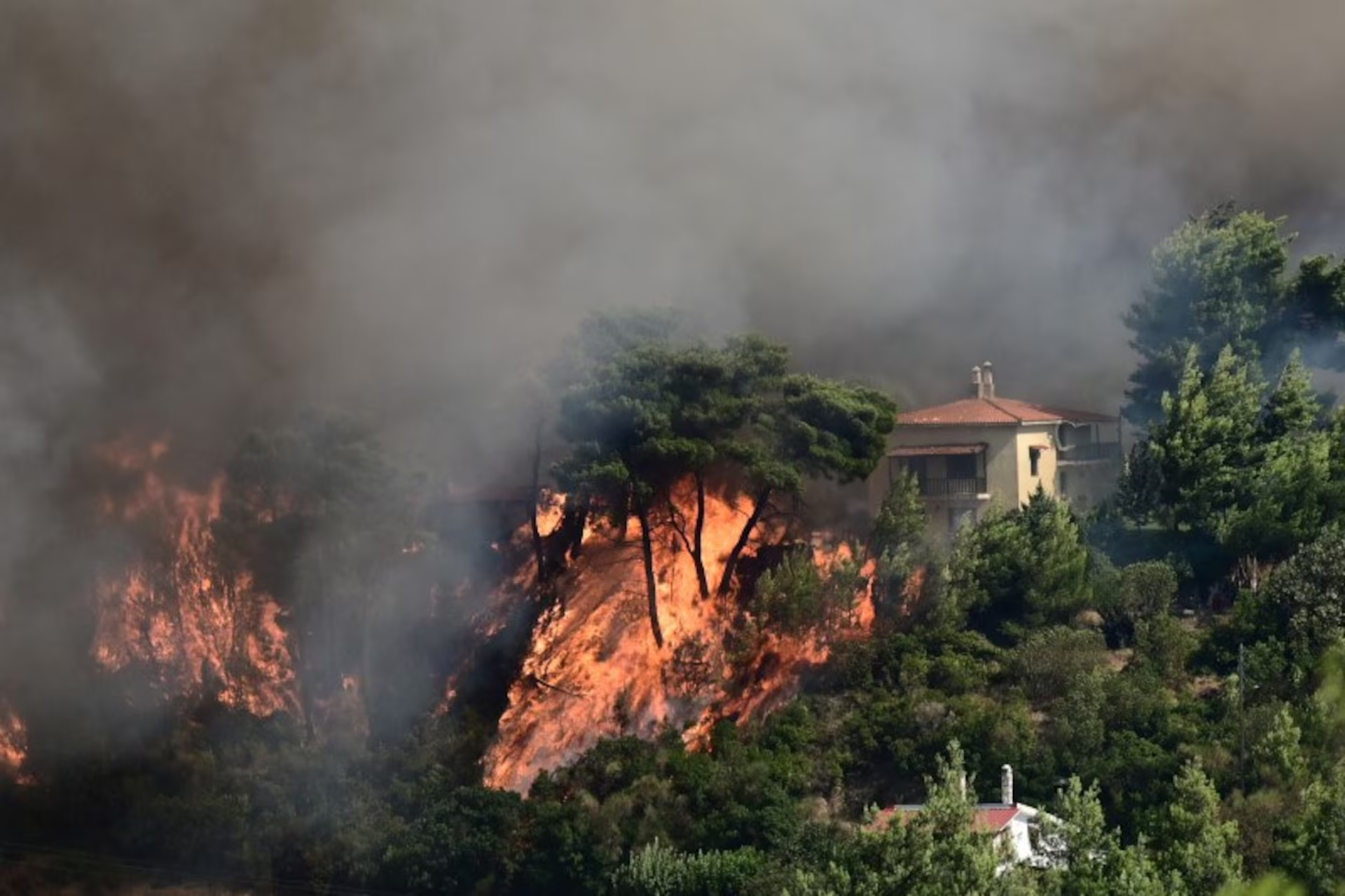 A wildfire threatens a building Varnava, near Athens, 11 August 2024. Photo: Michalis Karagiannis / Eurokinissi / REUTERS