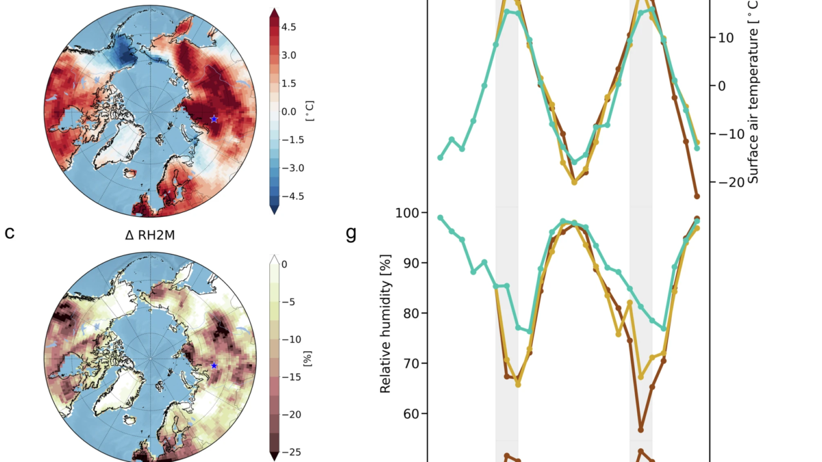 Atmospheric and wildfire responses to soil moisture reduction in the idealized experiments using the CESM2. The values represent differences between the response of a 40% soil moisture reduction perturbation experiment in July 2045 and a control simulation: (a) soil moisture in 0–10 cm depth (units: kg/m2), (b) surface air temperature (units: °C), (c) relative humidity at 2 m (units: %), and (d) logarithm of burned area [log (burned area)] (units: km2). Time evolution over Western Siberia (65.5°N, 83.75°E): (e) soil moisture over 0–10 cm depth (units: kg/m2), (f) surface air temperature (units: °C), (g) relative humidity at 2 m (units: %), and (h) logarithm of the burned area [log (burned area)] (units: km2) (blue: control simulation, yellow: 20% soil moisture reduction perturbation experiment, and brown: 40% soil moisture reduction perturbation experiment). Graphic: Kim et al., 2024 / Nature Communications